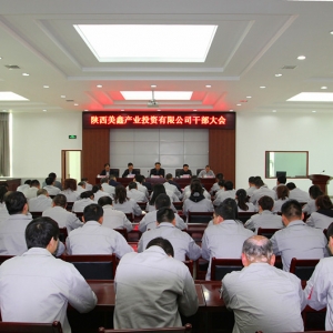 F(tun)˾ι˾_(ki)չ(qing)h(yn)o(j)ٰl(f)չ(zhun)(xing)