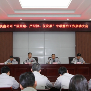 ˾Ѹن(dng)(qing)h(yn)o(j)ɡٰl(f)չ (zhun)(xing)ι