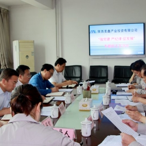 ˾_h(yn)o(j)ɡٰl(f)չI(lng)(do)ӌ}