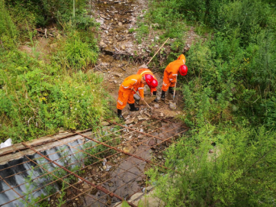 `гʹȫ(xin) VI(y)˾ұƺúVֹ˾2021꼾(yng)ݾ